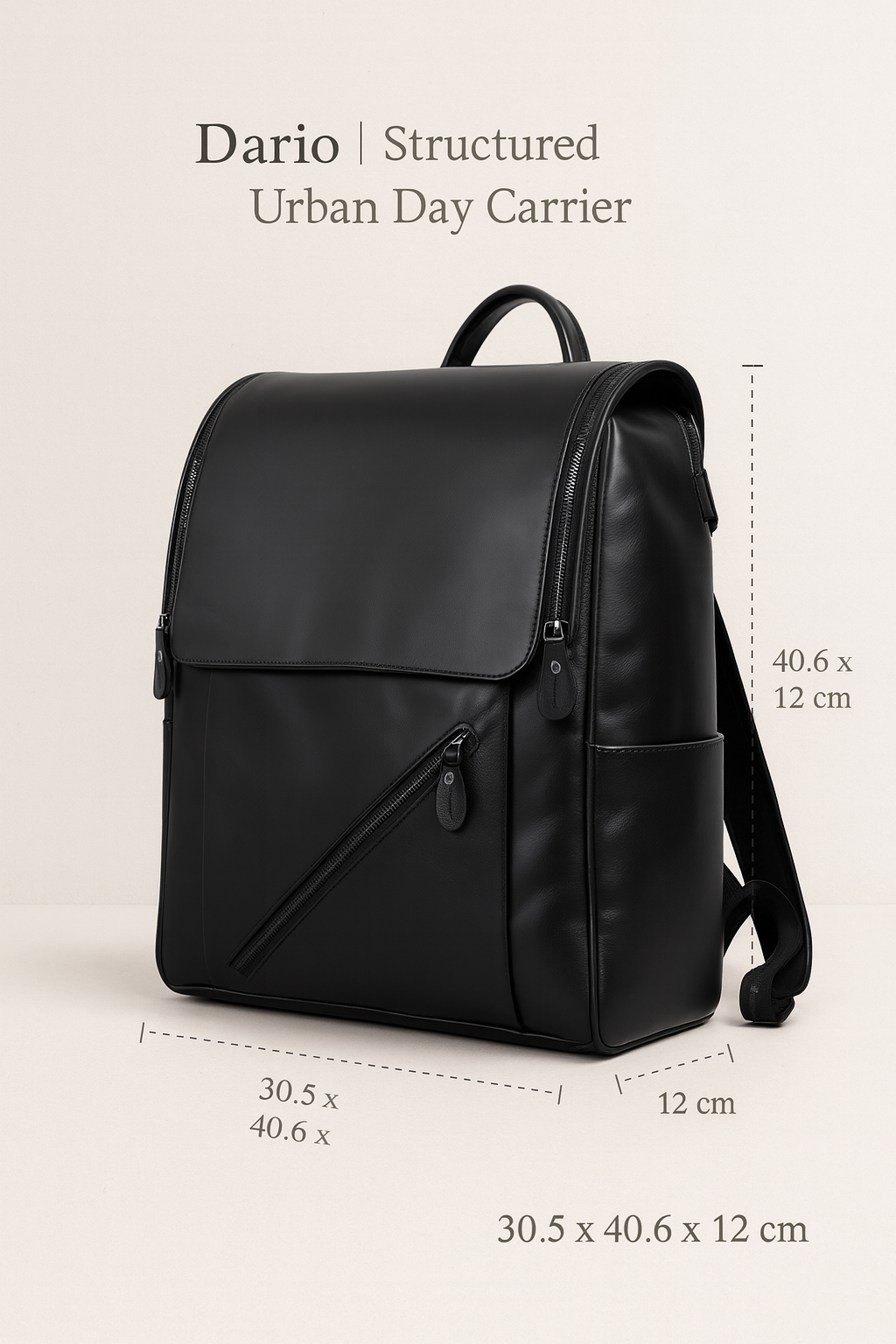 Dario | Structured Urban Day Carrier